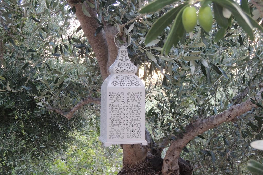 Kalliroe Apartments -Creta Agia Galini Eksteriør bilde